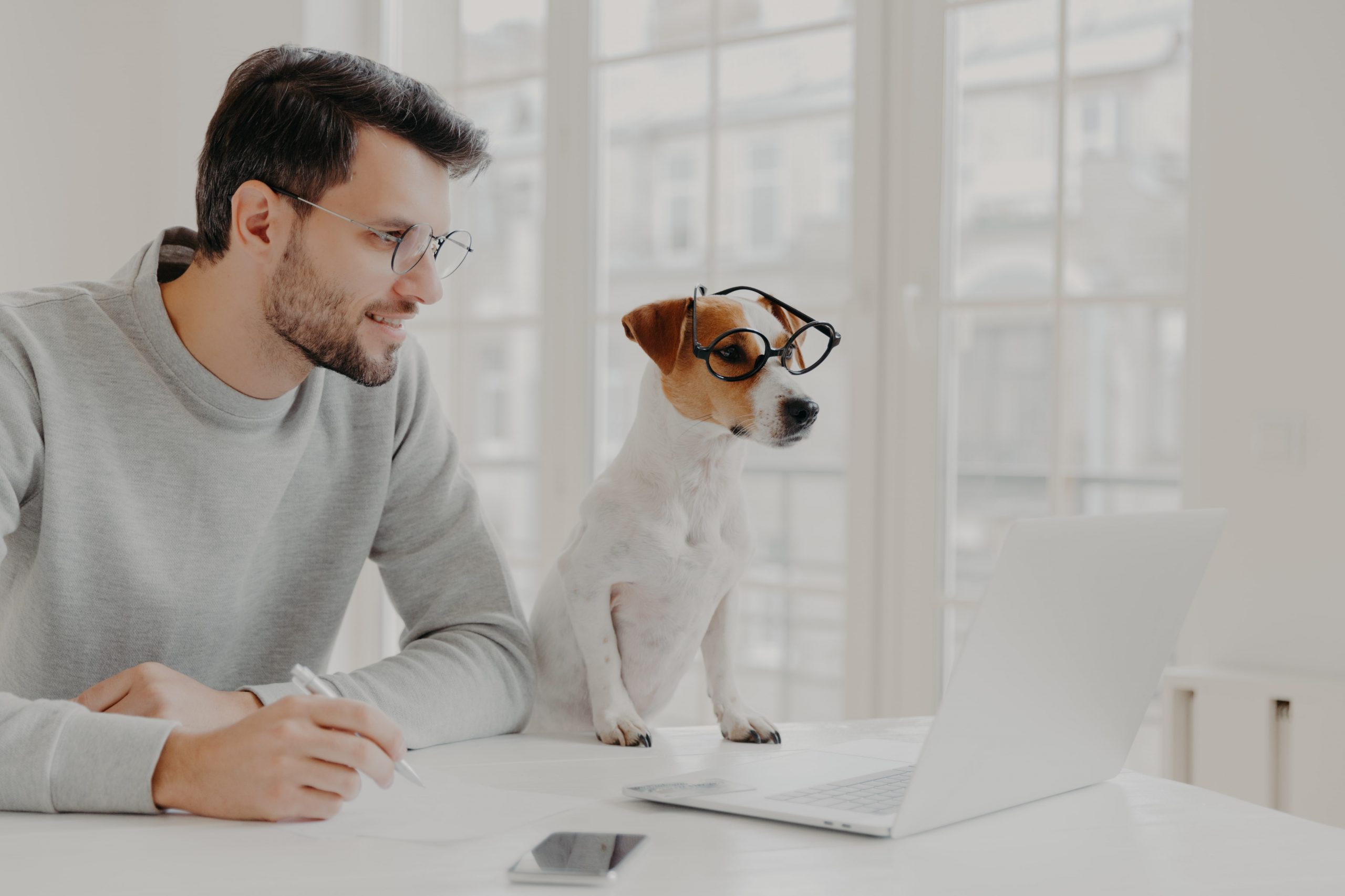 Top 5 Pet Related Business Ideas