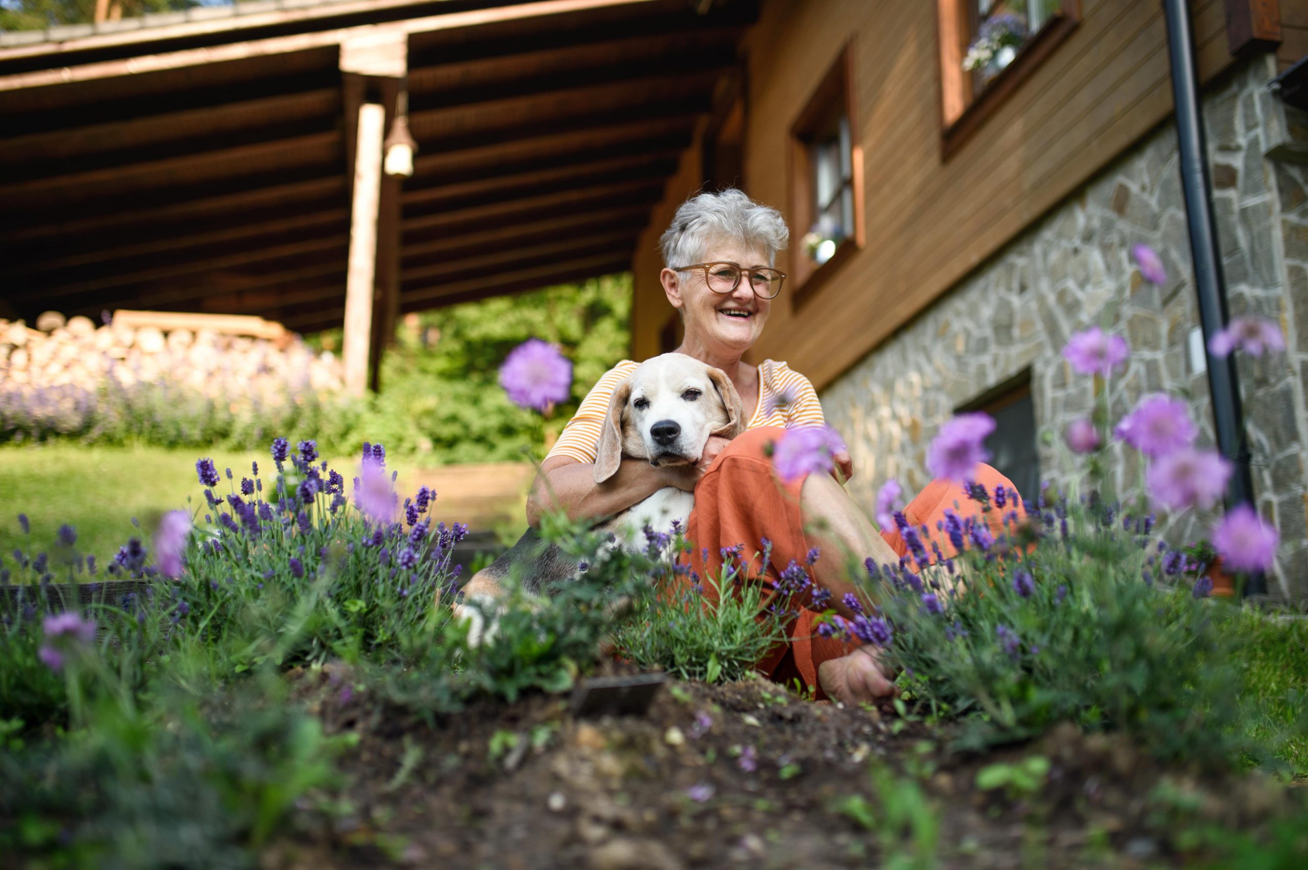 Turn Your Garden Into a Safe and Enjoyable Place For Your Different Garden Pets