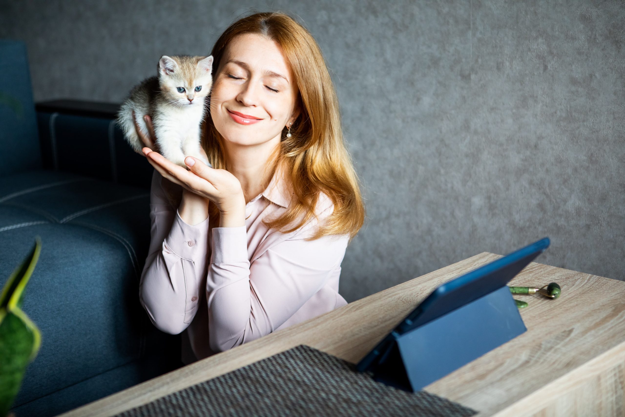 How to Start a Pet Sitting Business