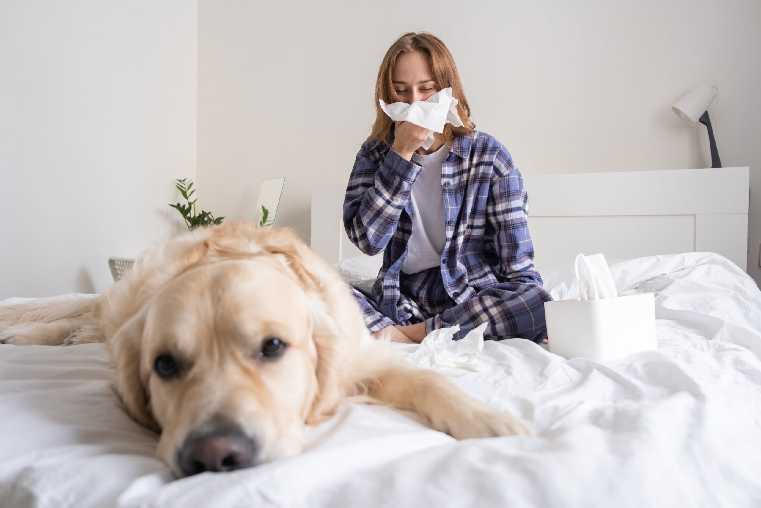 How to Treat Pet Allergies
