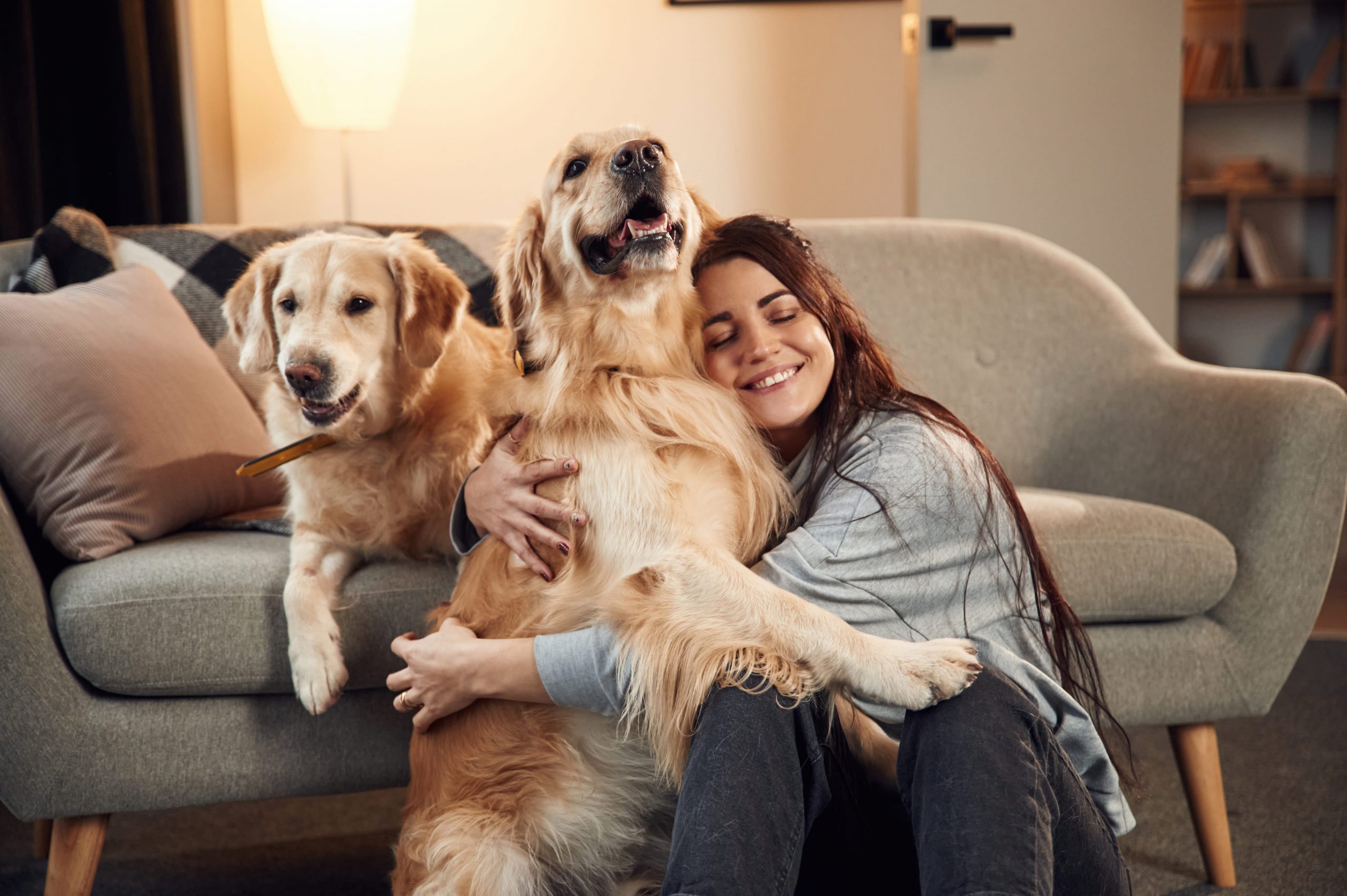 How to Make Your Home a Pet Friendly Place