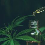 Cbd olje